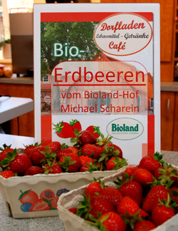 Bioland-Erdbeeren aus Otersen_250